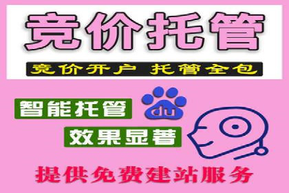 竞价代运营助力企业拓展线上市场案例